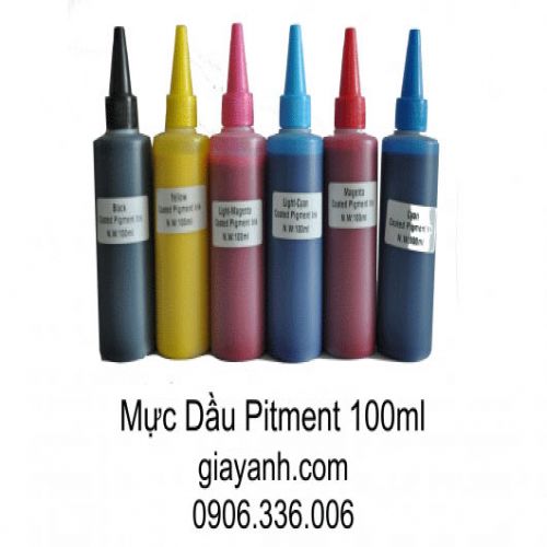 Mực in pigment UV 100ml